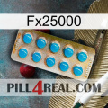 Fx25000 new09